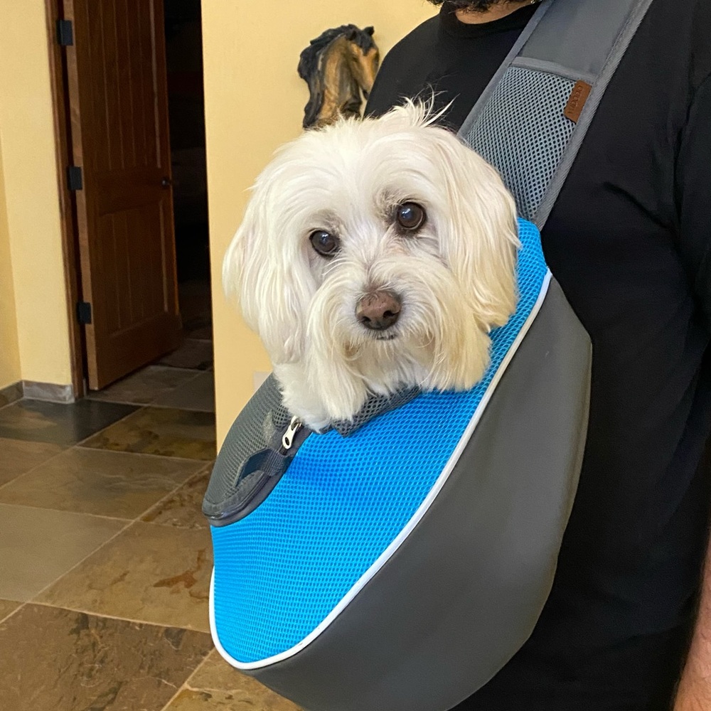Dog or cat carrier - Picture 1 of 4